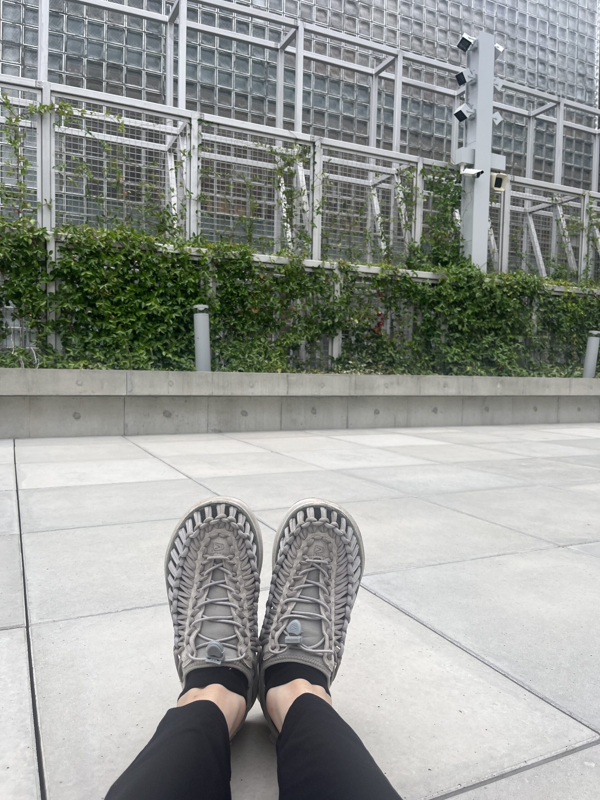 東京観光⭐︎