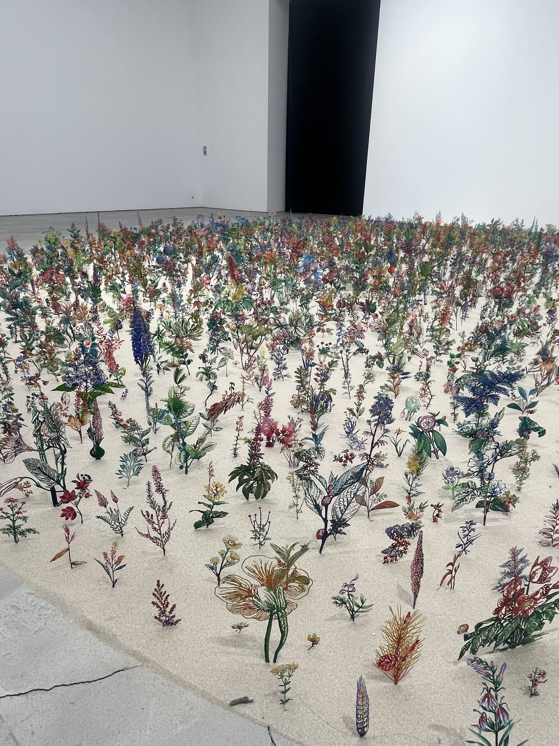 表参道で「ブラックフィールド」との再会⭐︎